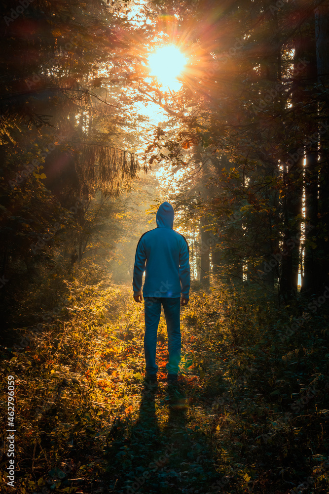 Young caucasian man from back walking in autumn colorful foliage forest tunnel at sunrise with misty fog. Czech landscape Young caucasian man from back walking in autumn colorful foliage forest tunnel at sunrise with misty fog. Czech landscape