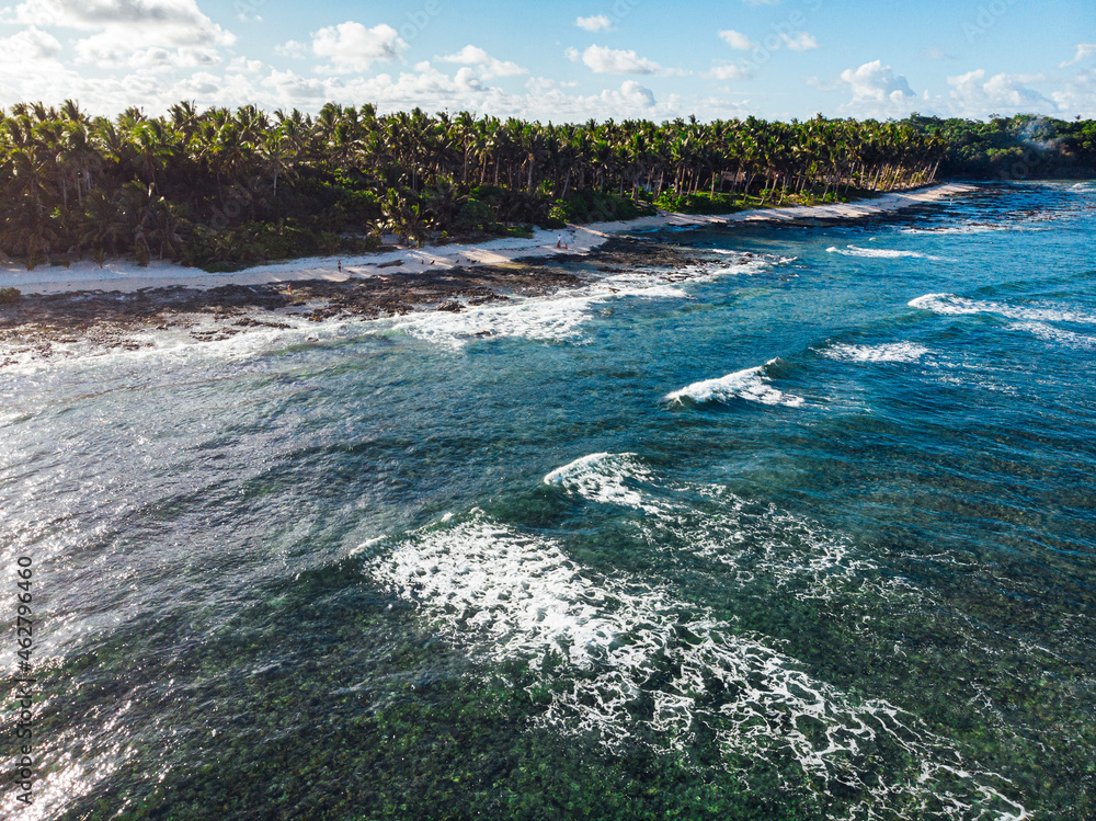 Drone view of palm trees along tropical beach in summer Stock Photo ...