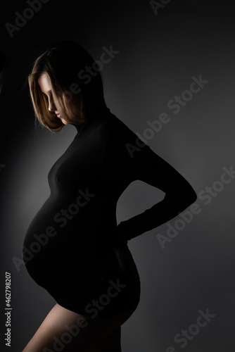 Beautiful dark fashion studio portrait of pregnant european woman