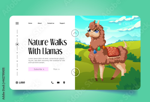 Nature walks with llamas banner. Vector landing page with cartoon illustration of cute alpaca on green meadows. Website template with highland landscape with adorable guanaco