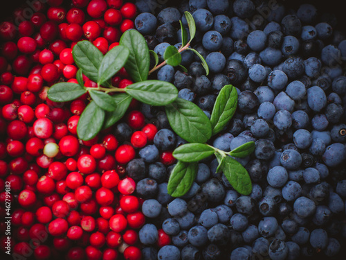 Foto Lingonberries and blueberries With Sprig Texture and leaves