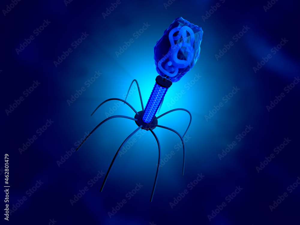 3D Rendered Illustration of a anatomically correct convergence to a ...