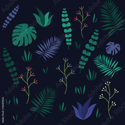 set of plants palm leaf jungle dark background