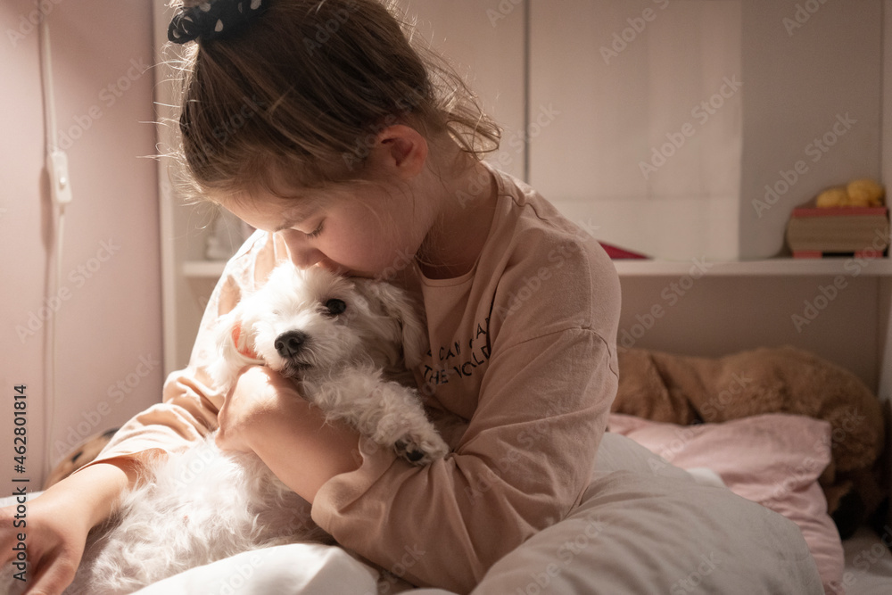 Cute girl embracing dog while sitting in bedroom Cute girl embracing dog while sitting in bedroom