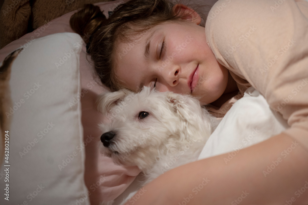 Cute girl holding dog while sleeping in bedroom Cute girl holding dog while sleeping in bedroom