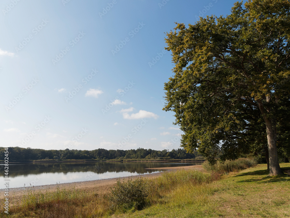 Obraz premium Autour du lac de Saint-Bonnet-Tronçais dans l'Allier. Région Auvergne-Rhône-Alpes