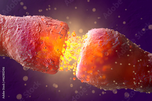 3D Rendered Illustration, visualization of Neurons firing neurotransmitters in the synaptic gap photo