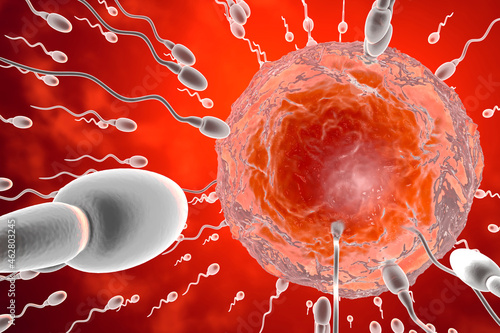 3D Rendered Illustration, visualisation of sperm cells racing to a egg to fertilise photo