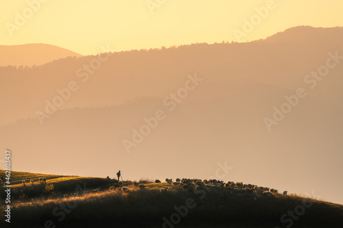 Silhouette of herdsman with...