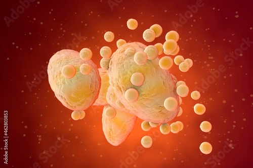 3D Rendered Illustration, visualisation of fat cells clogging together in the human body photo
