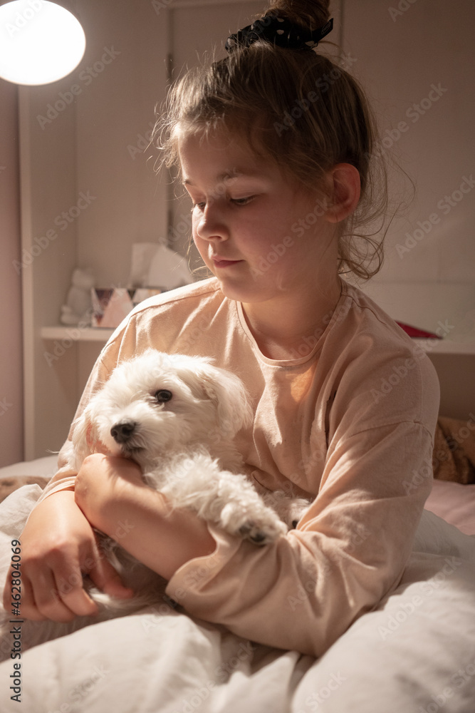 Cute girl holding dog while sitting in bedroom Cute girl holding dog while sitting in bedroom