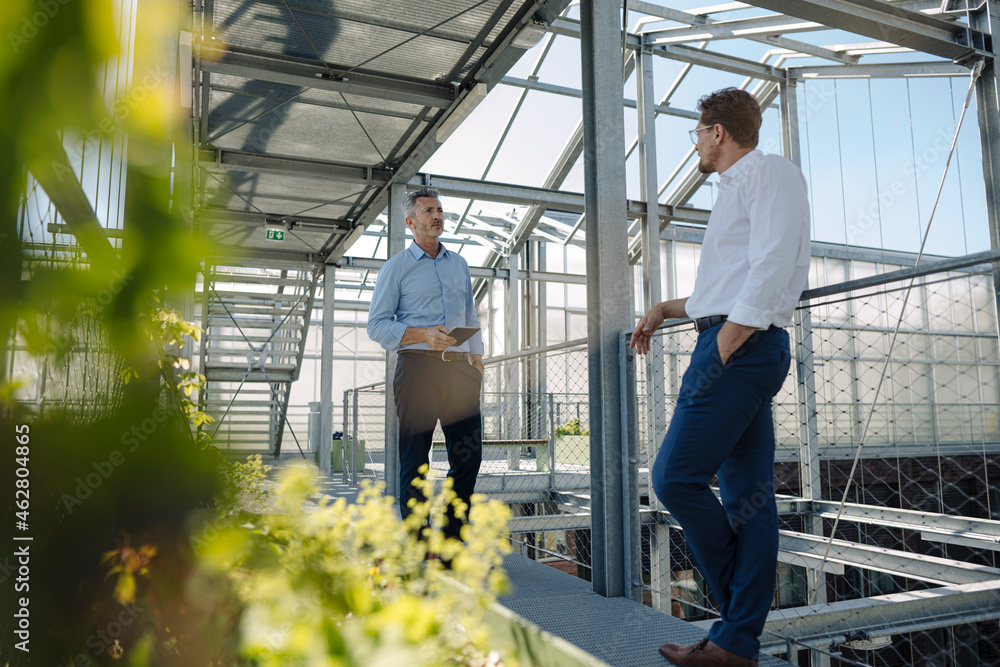 Male coworkers planning while standing in greenhouse Male coworkers planning while standing in greenhouse