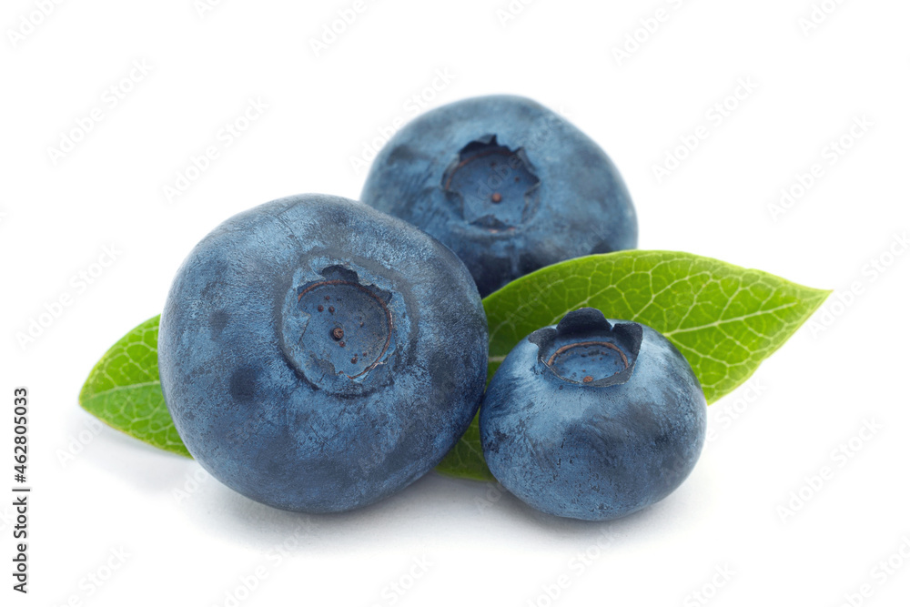 Obraz premium Blueberry closeup on white