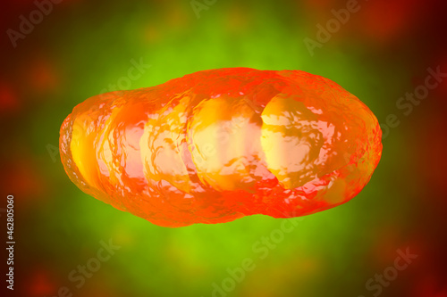 3D rendered Illustration, visualisation of a Mitochondrion, organelle photo