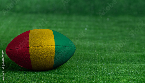 American football ball  with Guinea flag on green grass background  close up