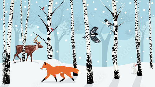 Winter birch trees and animals