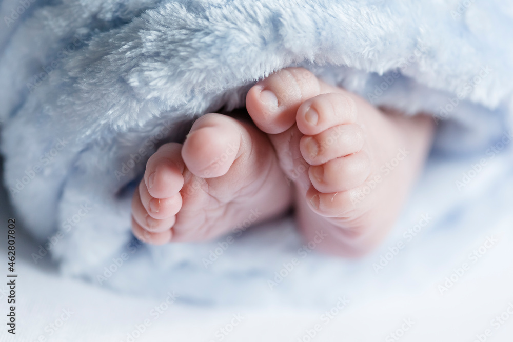 Close up of feet of a newborn baby Close up of feet of a newborn baby