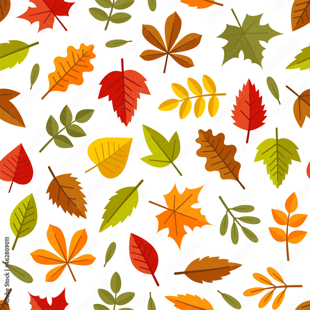 Autumn Leaves Seamless Pattern on White Background. Vector