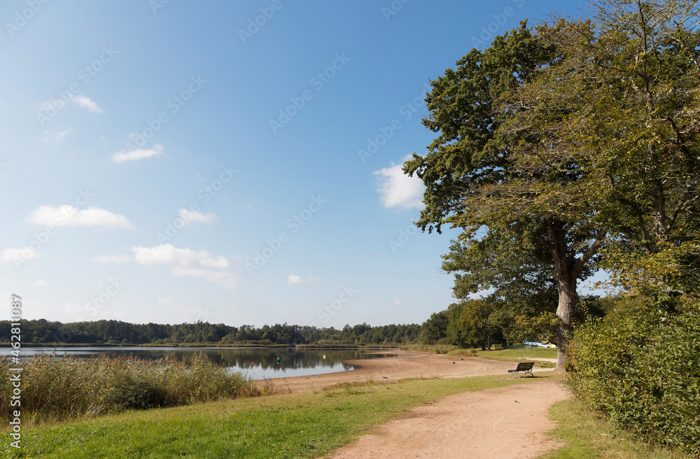 Etang de Saint-Bonnet -Tronçais. Circuit de randonnée autour des eaux calmes entourées de la forêt de la Sologne bourbonnaise en Allier Etang de Saint-Bonnet -Tronçais. Circuit de randonnée autour des eaux calmes entourées de la forêt de la Sologne bourbonnaise en Allier