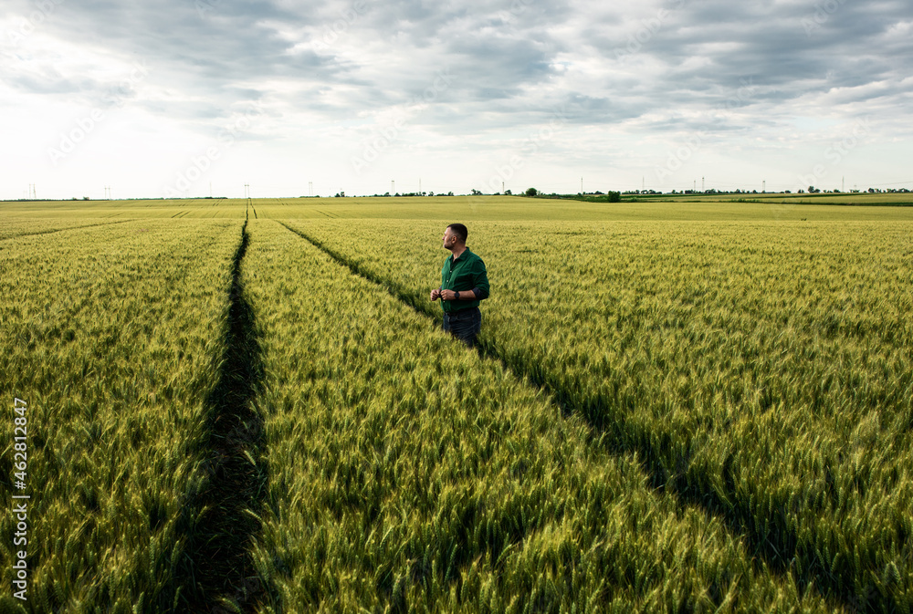 Portrait of farmer standing in wheat field. Portrait of farmer standing in wheat field.