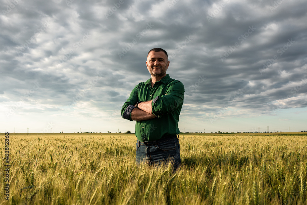 Portrait of farmer standing in wheat field. Portrait of farmer standing in wheat field.