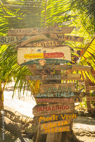 Costa Rica, Puntarenas Province, Montezuma, Palm tree covered in various directional signs photo