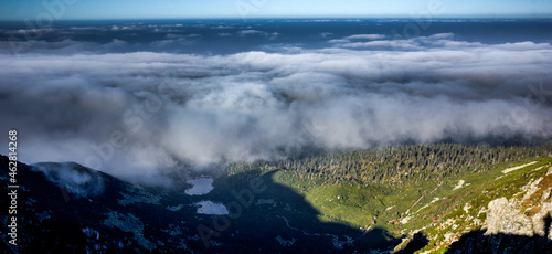 Fototapeta Naklejka Na Ścianę i Meble -  Fog in the mountain forest in the Karkonosze National Park