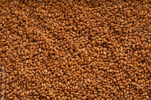 Detailed and large close up shot of flaxseeds.