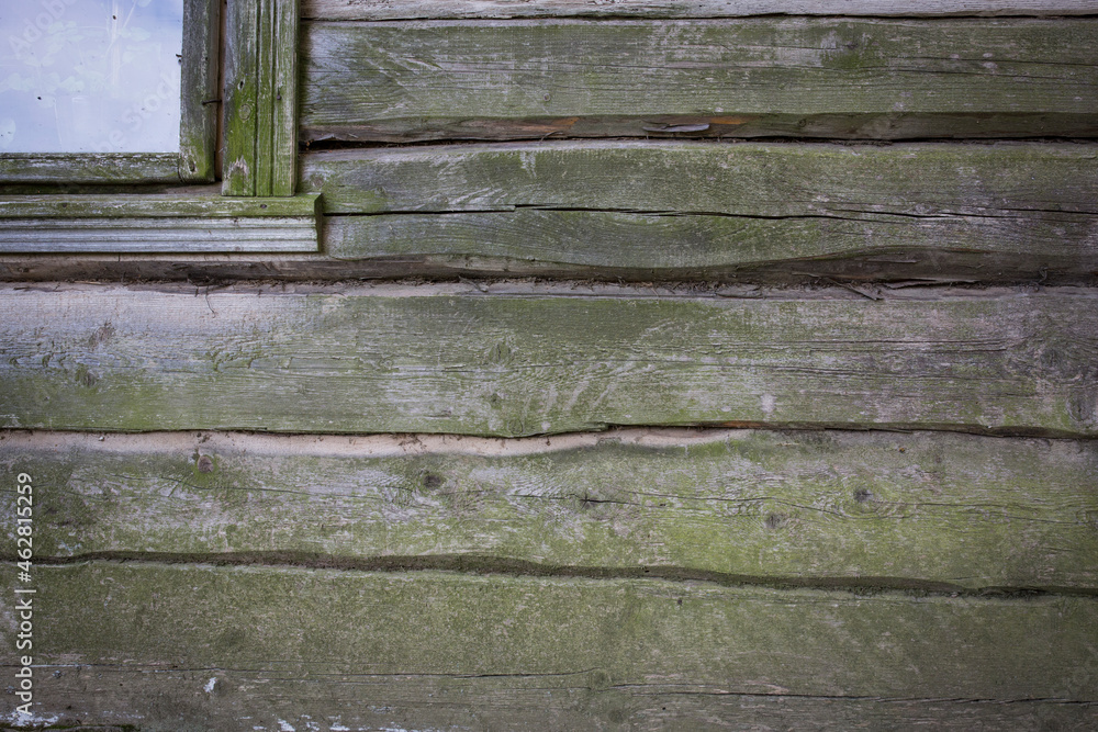 Fototapeta premium Wooden logs of an old house. Close-up. Weathered natural gray wood texture. Background. Horizontal photo