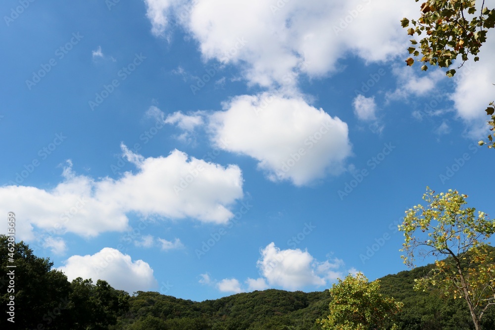 Obraz premium 気持ち良い秋の青空 風景