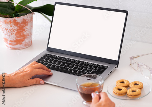 Laptop with white blank screen. Female hand typing while drinking a cup of tea. Work place with pen and plant. Technology, internet, e-commerce, business