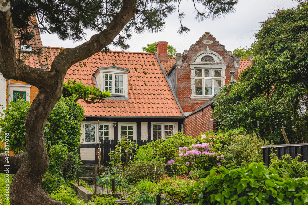 Denmark, Region of Southern Denmark, Aeroskobing, Flowers blooming in front yard of traditional Danish house Denmark, Region of Southern Denmark, Aeroskobing, Flowers blooming in front yard of traditional Danish house