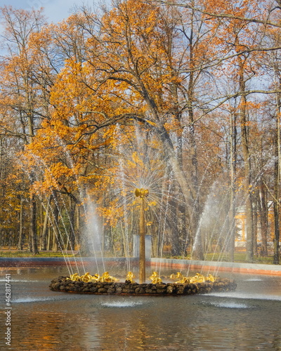 Parks of St. Petersburg. Golden autumn. Russia.