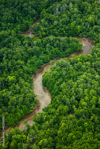 Bird's eye view of New Guinea jungle. Beautiful shape of the river that flows through the jungle. New Guinea. Indonesia.