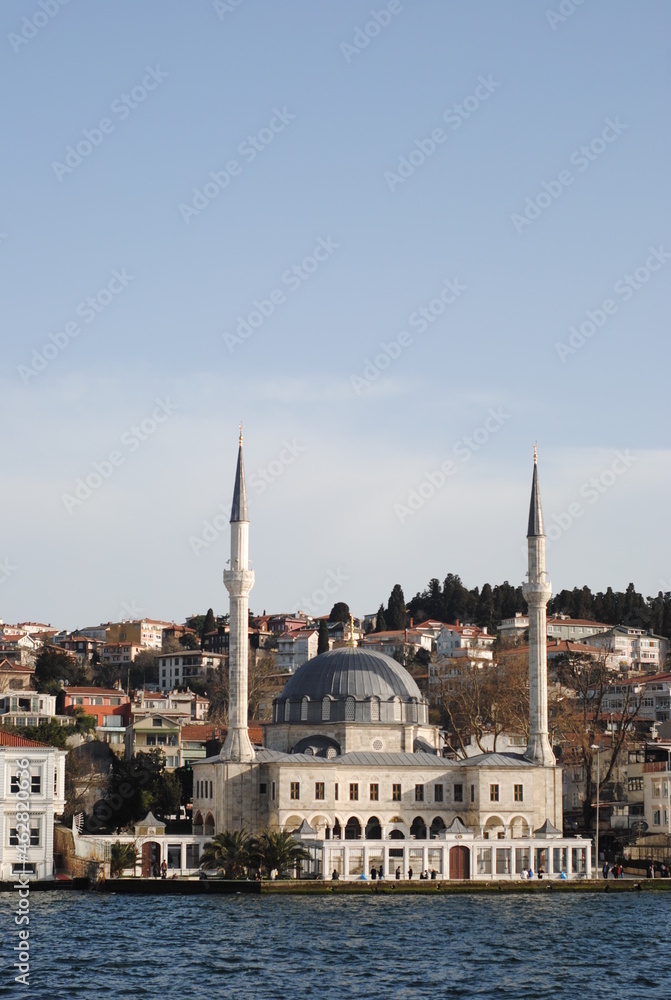 Naklejka premium Turkey (Posphorus)