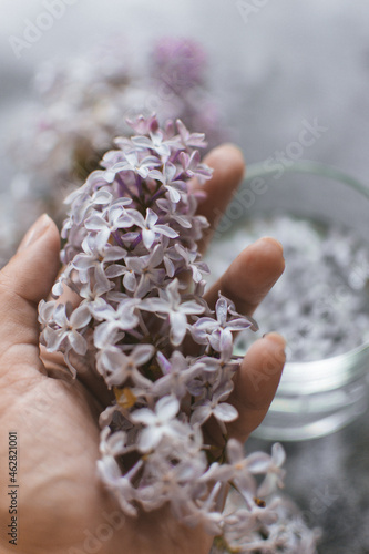 hand holding a bunch of flowers