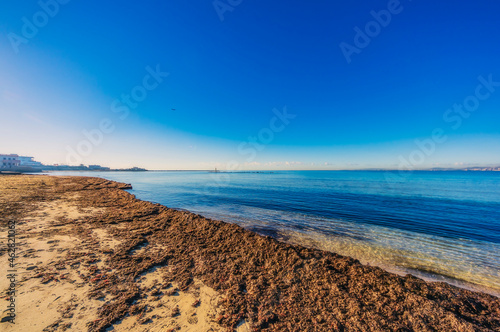 Spain, Mallorca, coast near Portixol photo