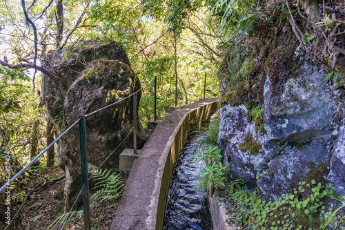 Portugal, Madeira, Ribeiro Frio, Levada do Furado in Madeira Natural Park photo