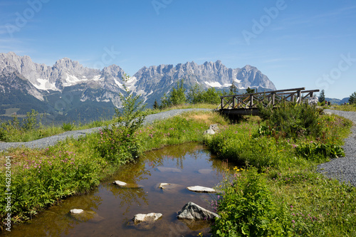 Water amidst plants against Kaiser Mountains at Astberg, KitzbÔøΩhel, Tyrol, Austria photo
