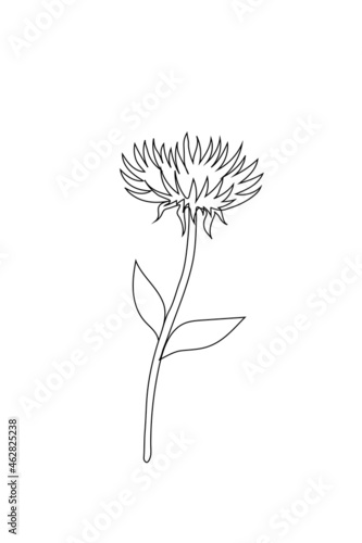 abstract flower one line art drawing. vector flower with stem and leaves