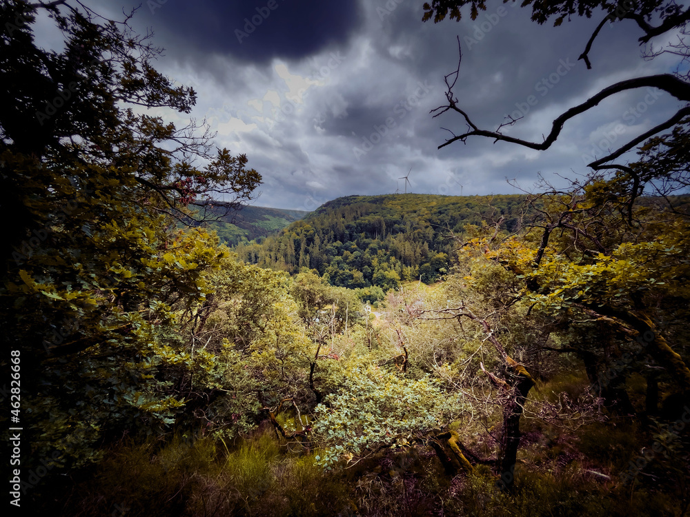 Blick ins Tal auf eine grüne Landschaft 