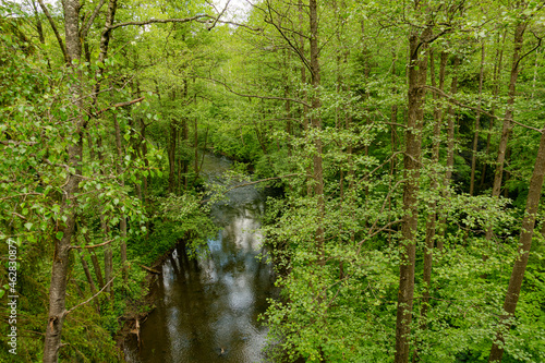 botkuny las drzewa puszcza rzeczka rzeka strumień potok