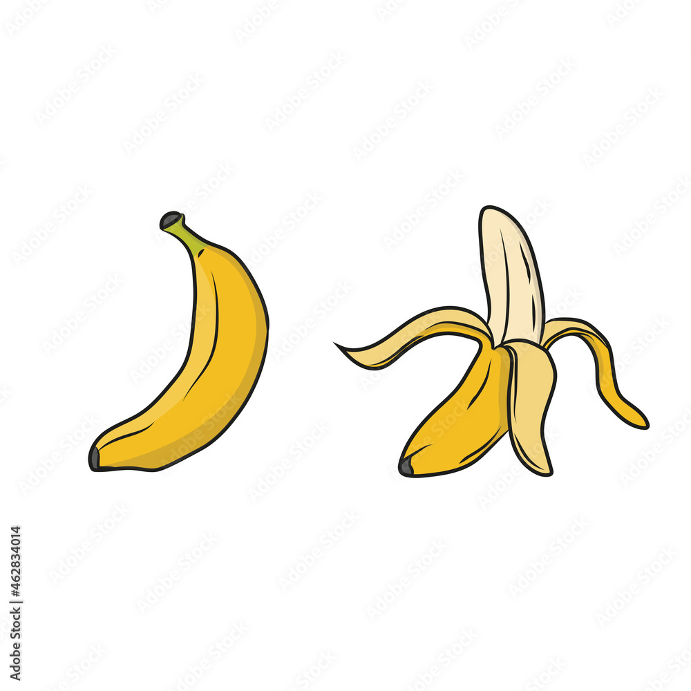 illustration vector graphic of bananas and half-opened bananas, suitable for use as flyers or food business promotion pictures related to bananas or just a collection of pictures and wallpapers