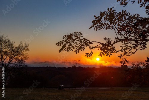 Orange dawn on the background of contrasting tree branches.