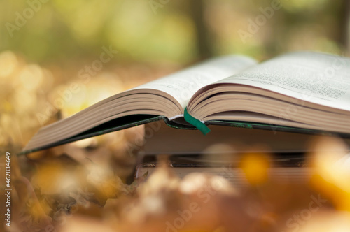 reading books in the fall in the park, open book against the background of yellow leaves, blurring, selective focus. High quality photo