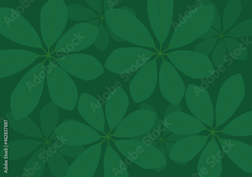 Tropical umbrella plant Schefflera leaves background vector illustration photo