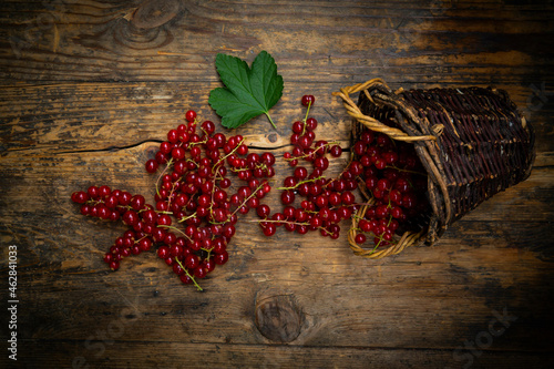 Ripe red currant berries spilling from small wicker basket