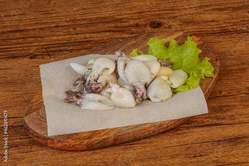 Raw seafood - cuttlefish for cooking