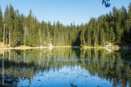 Lake in the forest. National park Durmitor, Montenegro. 