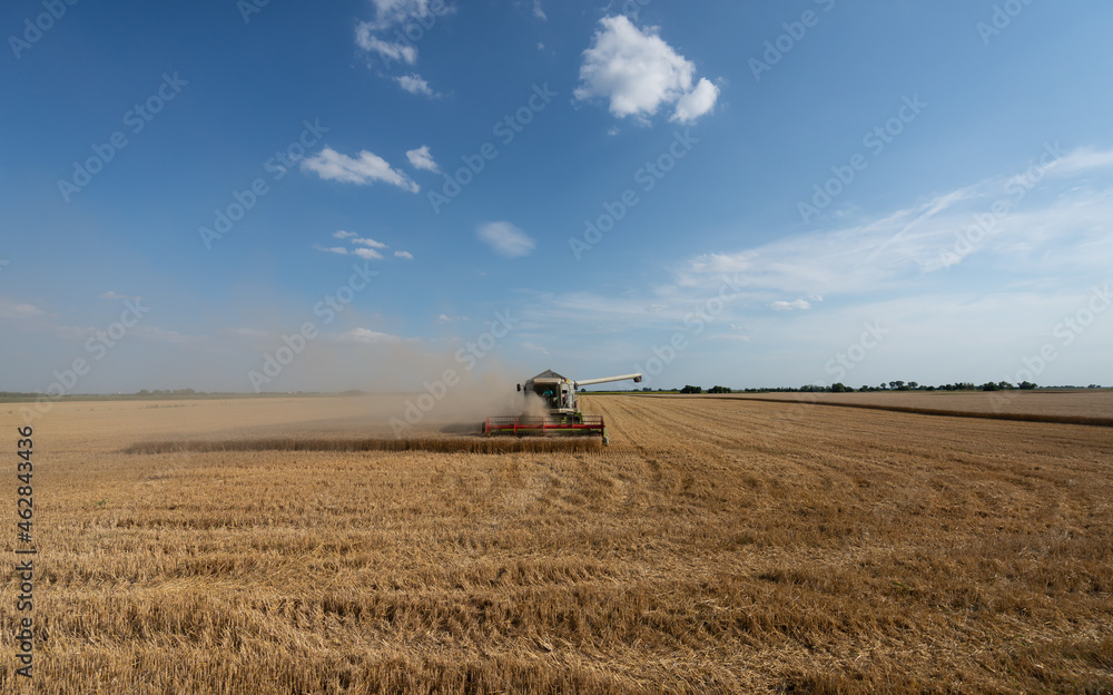 Fototapeta premium combine harvester working in a field
